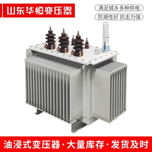 S13-10000/35桥东桥东桥东油浸式变压器厂家